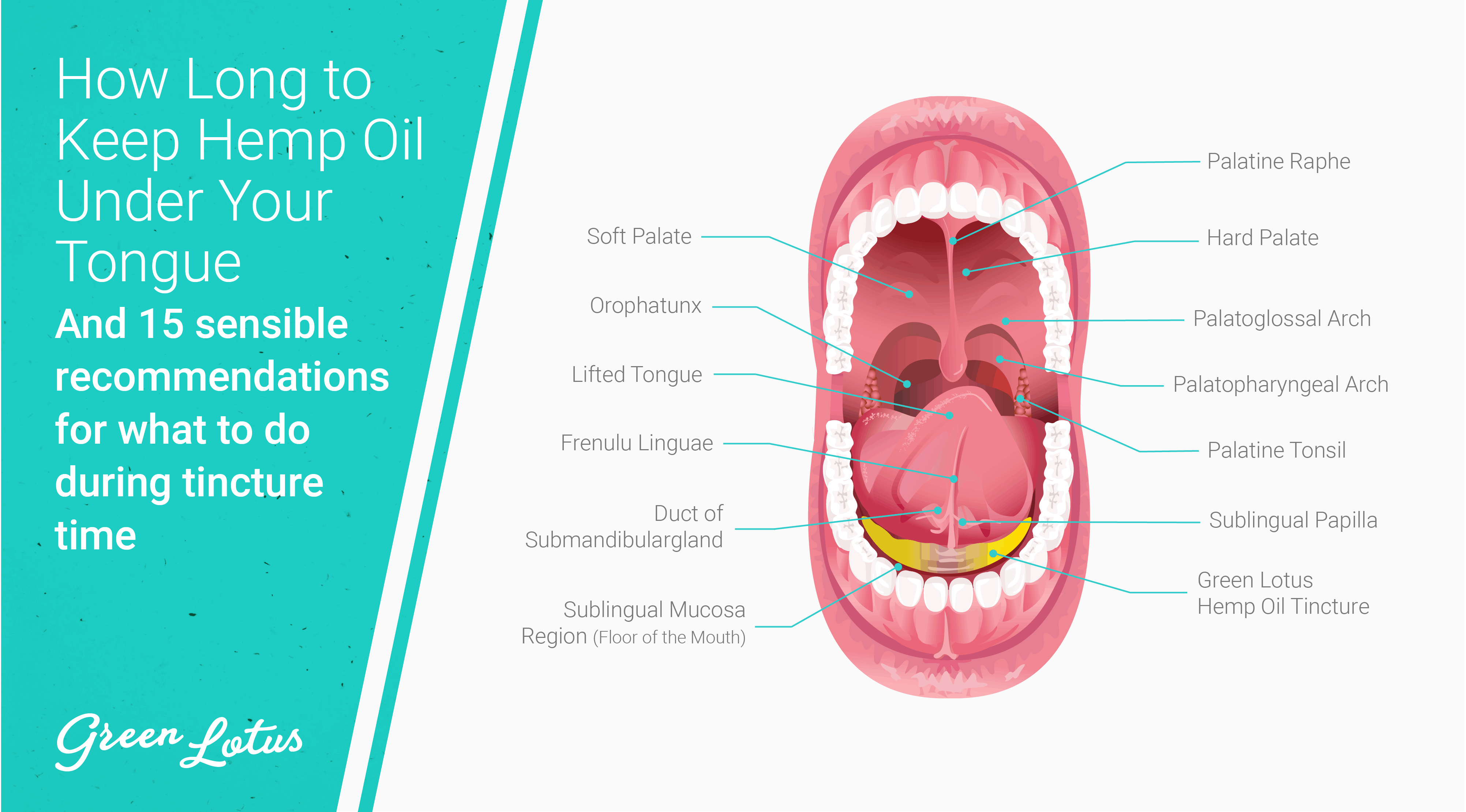 How Long to Keep Hemp Oil Under Your Tongue