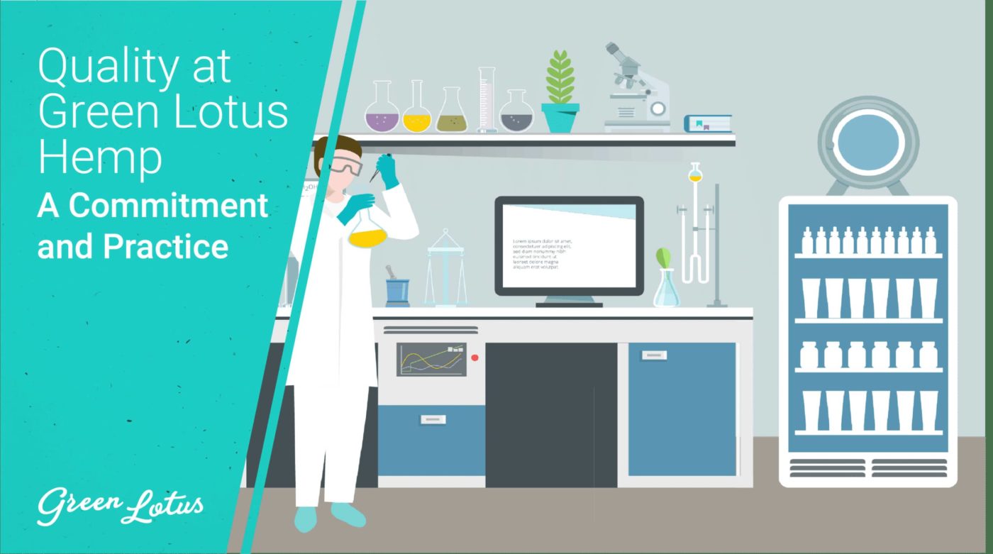 Quality at Green Lotus Hemp