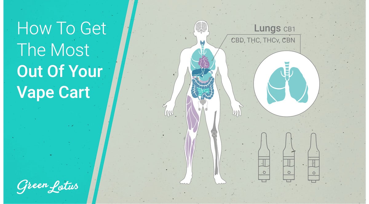 How To Vape Thumbnail