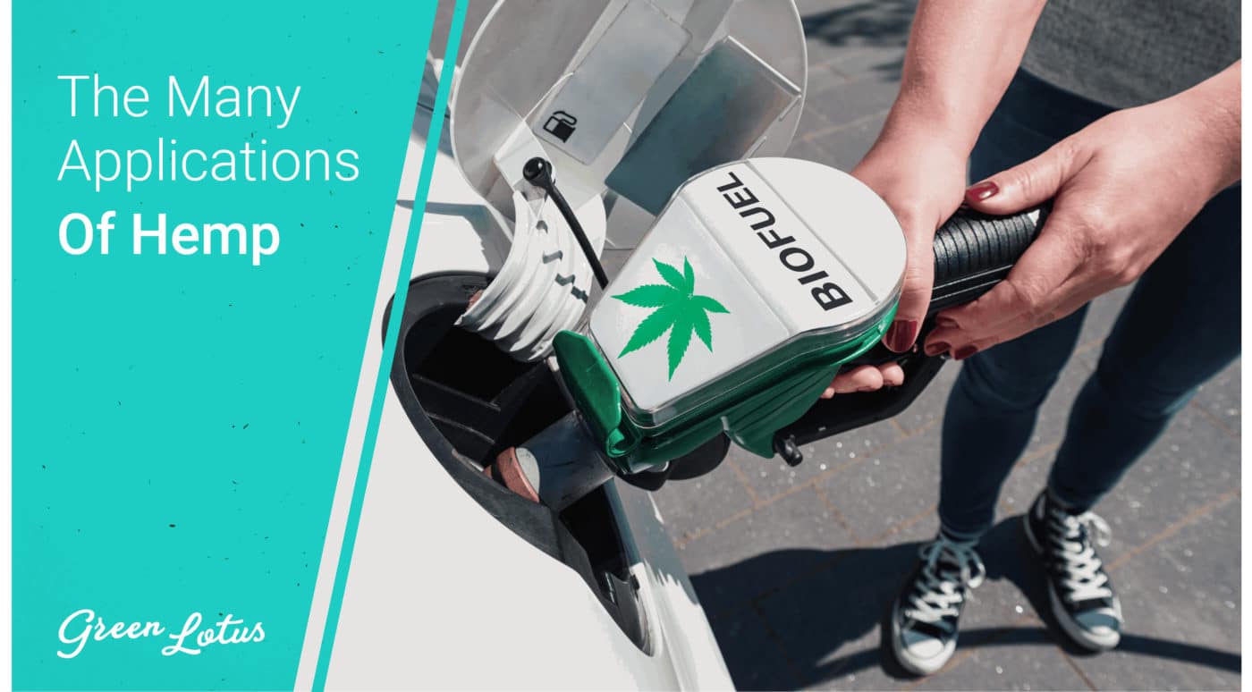 The Many Applications of Hemp - Pumping Biofuel