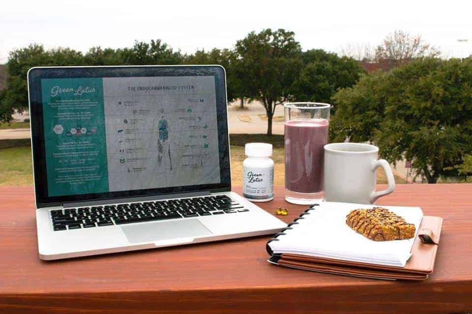 Green Lotus Morning Breakfast