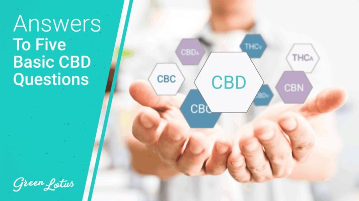 Answers to Your 5 Basic CBD Questions