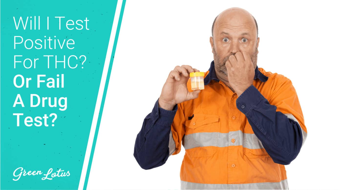 Green Lotus Drug Test Thumbnail