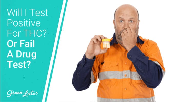 Green Lotus Drug Test Thumbnail