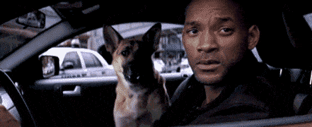 I Am Legend - Will Smith with Dog
