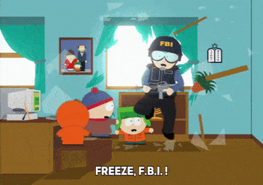 South Park Raid