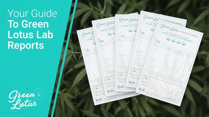 Lab Reports Thumbnail Image