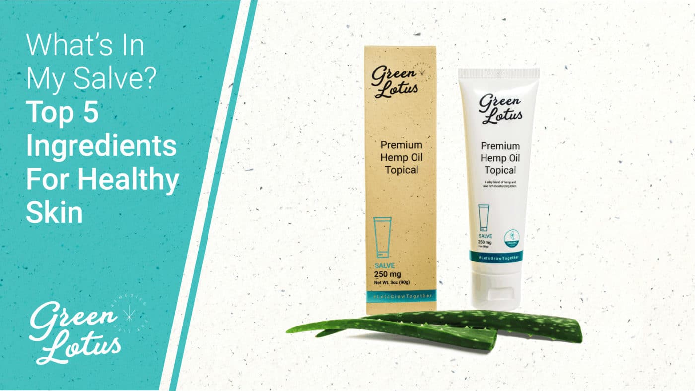 Top 5 Ingredients For Healthy Skin