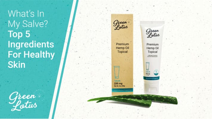 Top 5 Ingredients For Healthy Skin