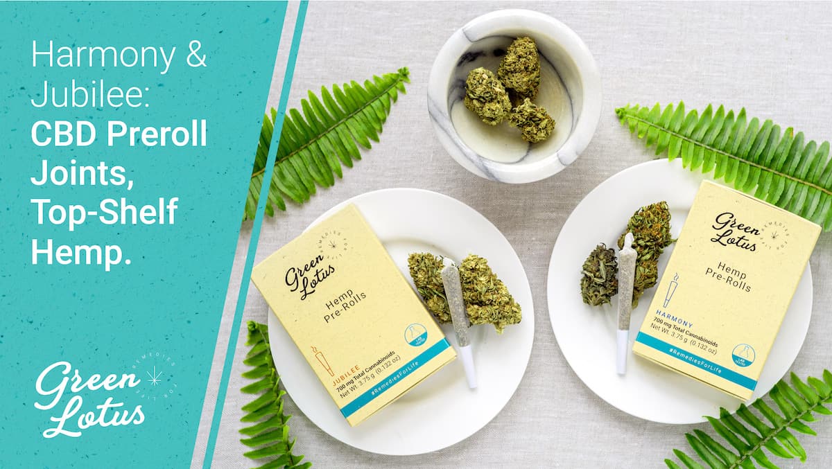 CBD preroll joints blog