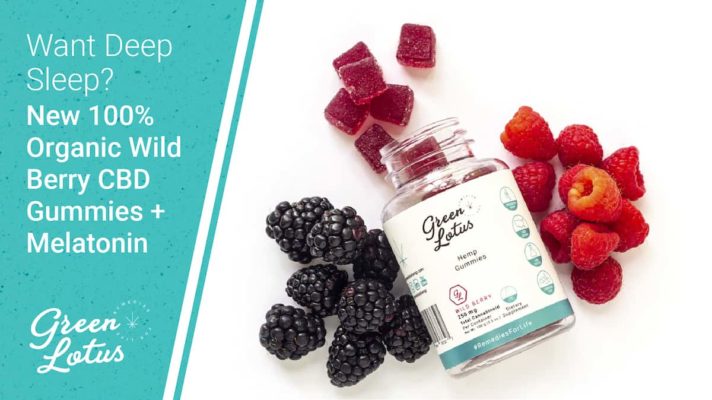 Blog Wild Berry CBD + Melatonin Gummies
