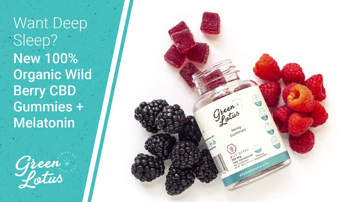 Blog Wild Berry CBD + Melatonin Gummies