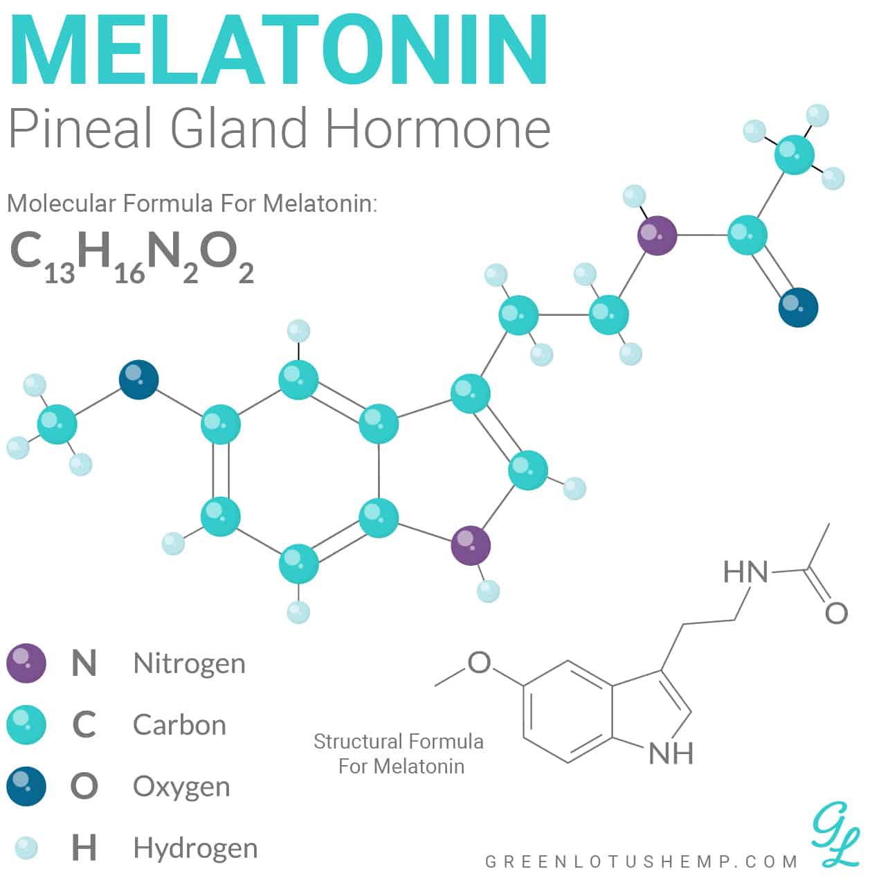 Melatonin Pineal Gland Hormone