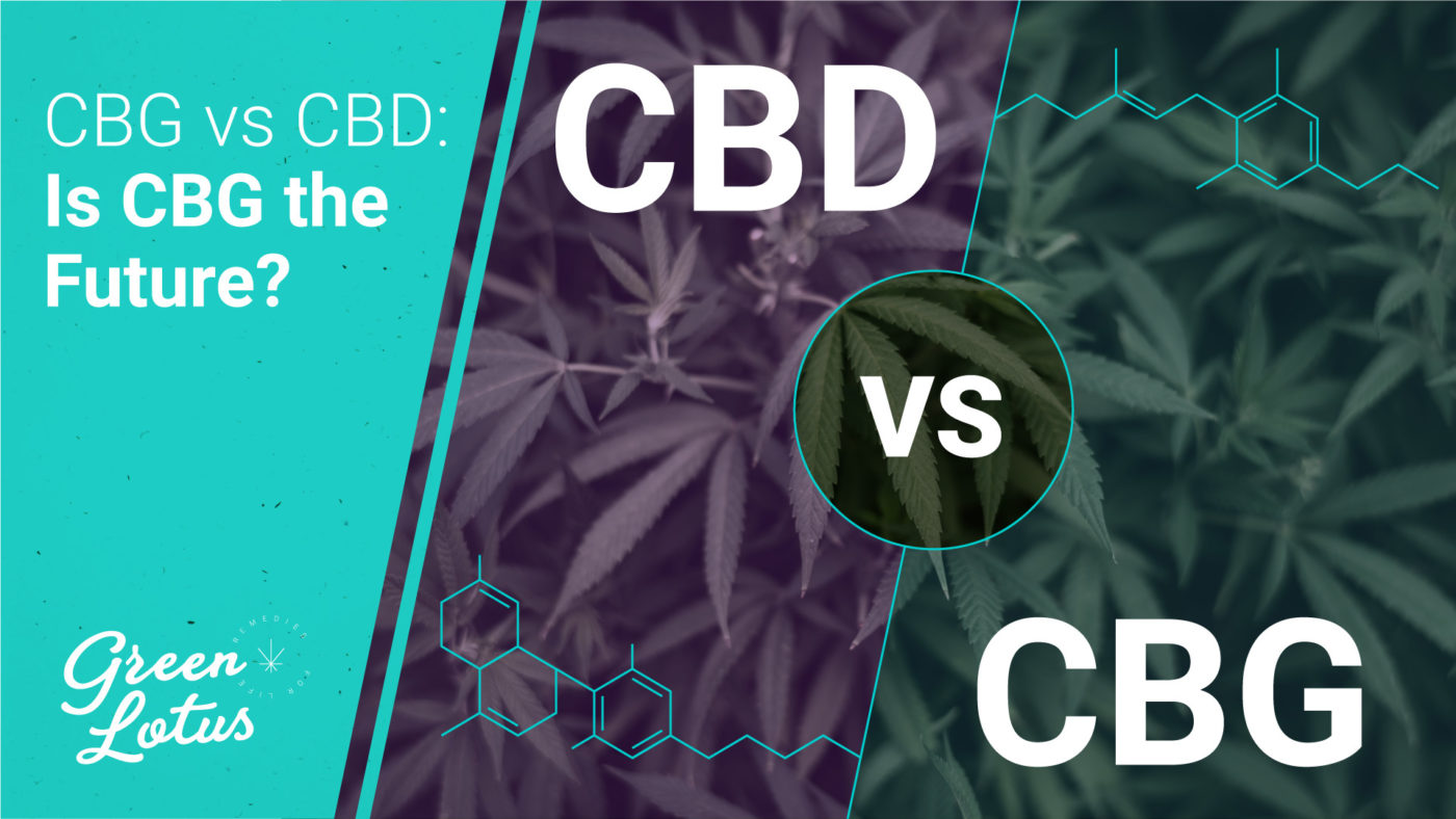 CBG vs CBD: Is CBG the Future?