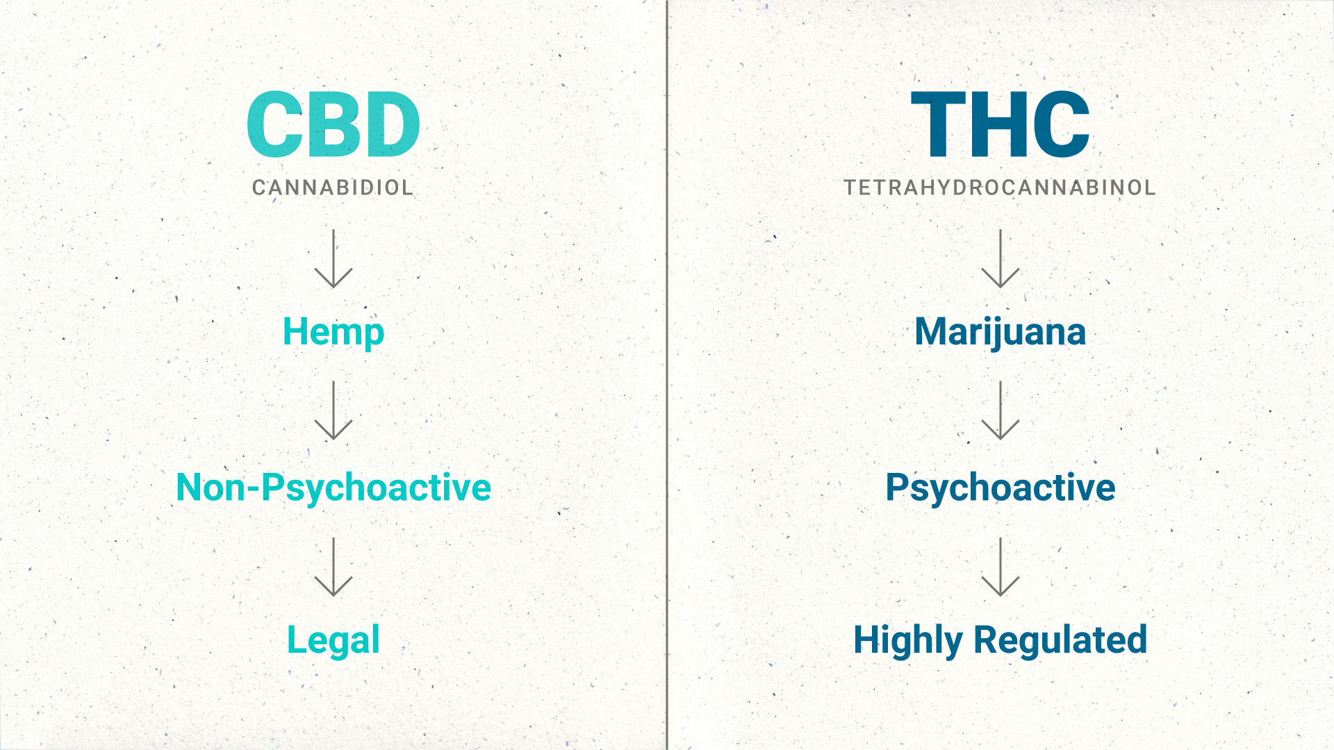 CBD vs. THC Is The Wrong Question To Ask. Here’s Why